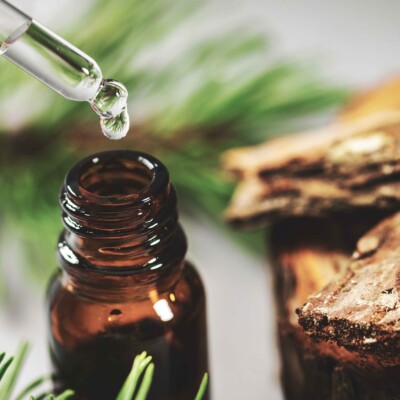 Plant extracts